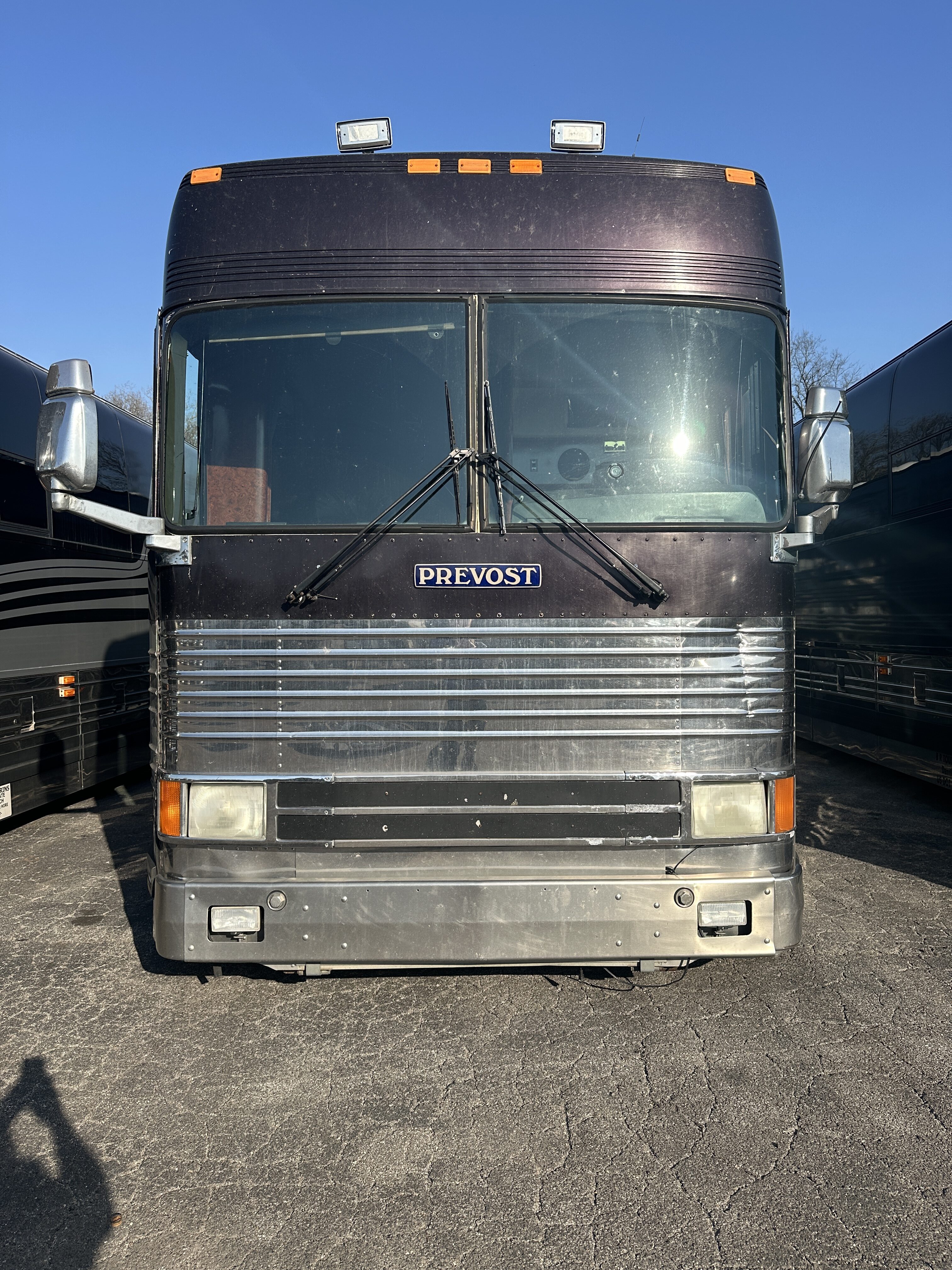 featured bus photo of Dog House